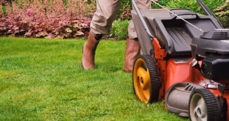 Jak zorganizować transport kosiarki?
