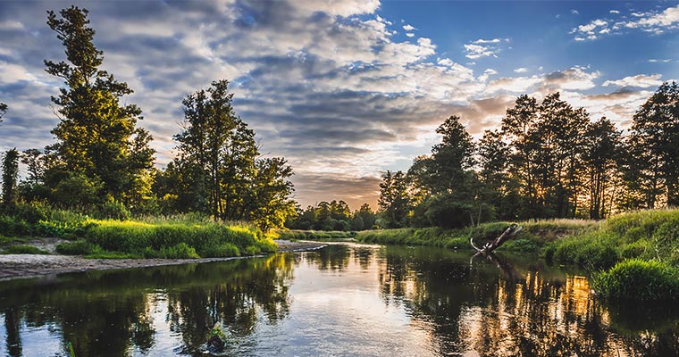 Ile kosztuje transport na Mazowszu?