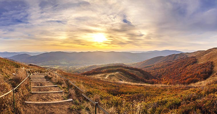 Ile kosztuje transport na Podkarpaciu?