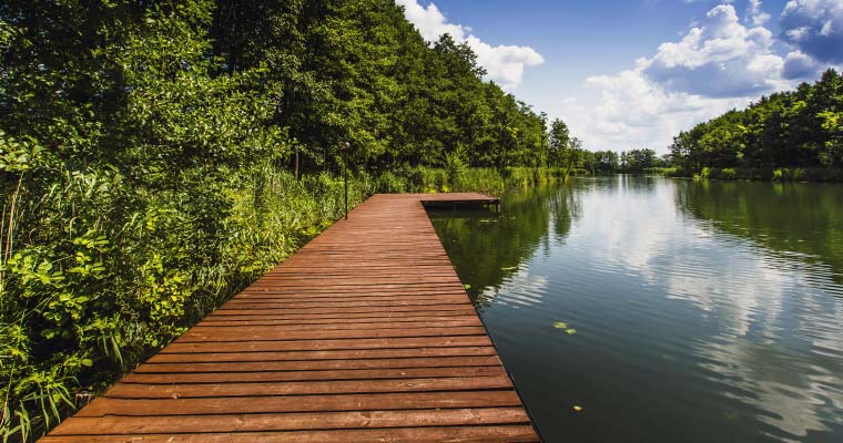 Ile kosztuje transport na Podlasiu?