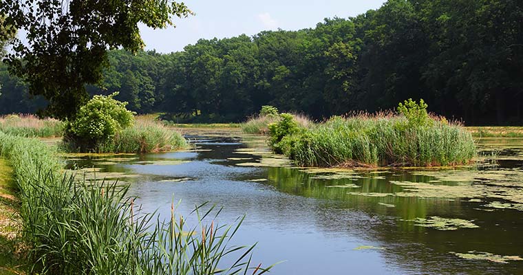 Ile kosztuje transport w Wielkopolsce?